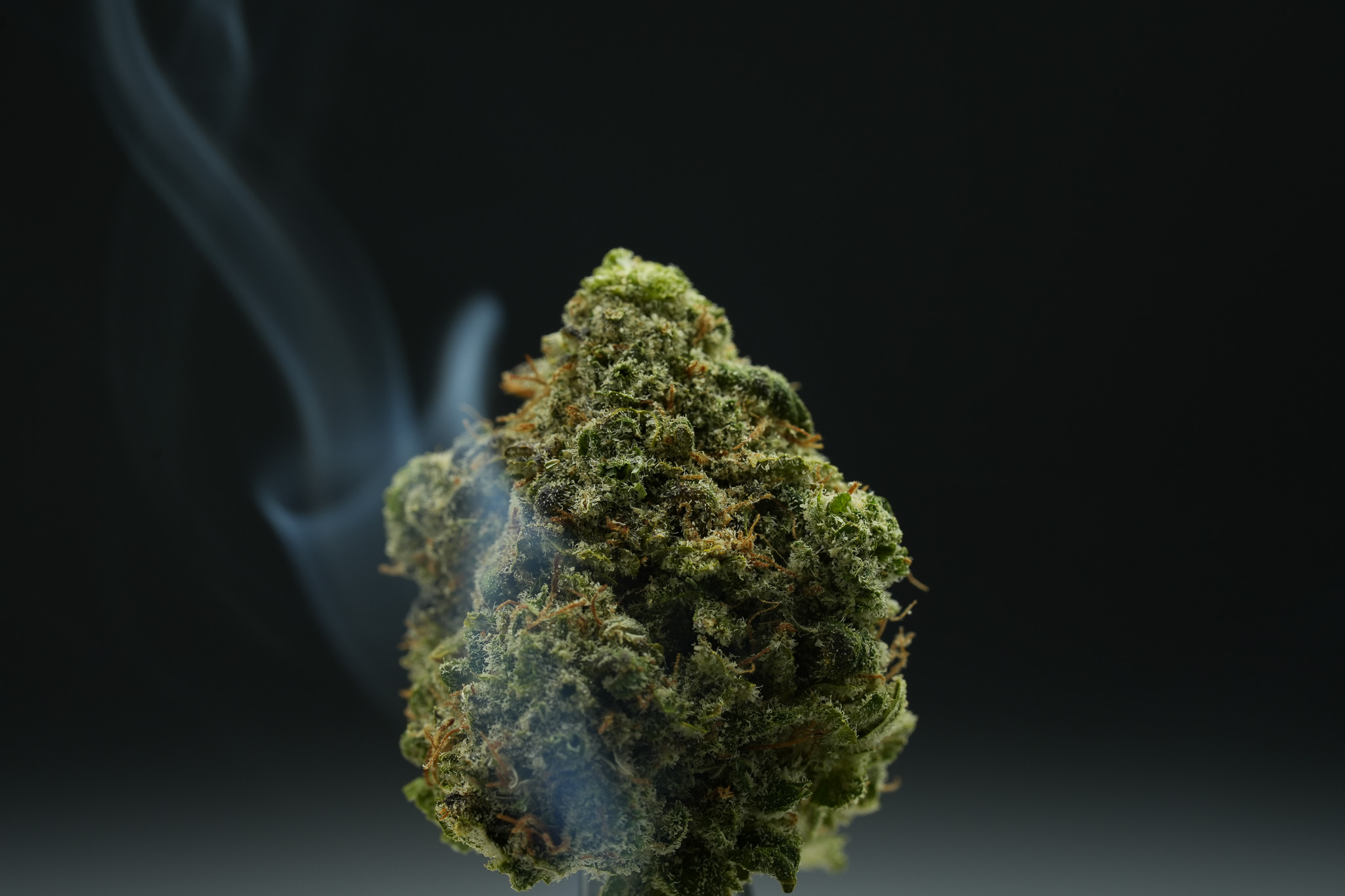 Photograph of product: Exit 19 - Landrace Oui'd Co - 1g