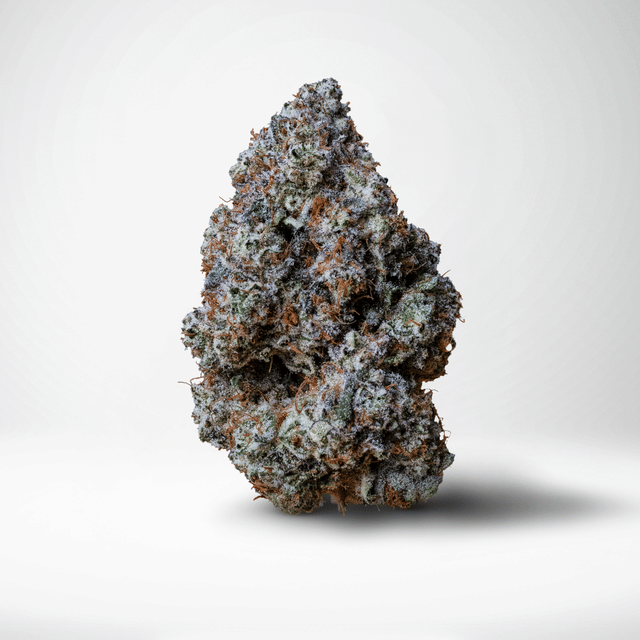 Photograph of product: Baby Rattler - Eighth