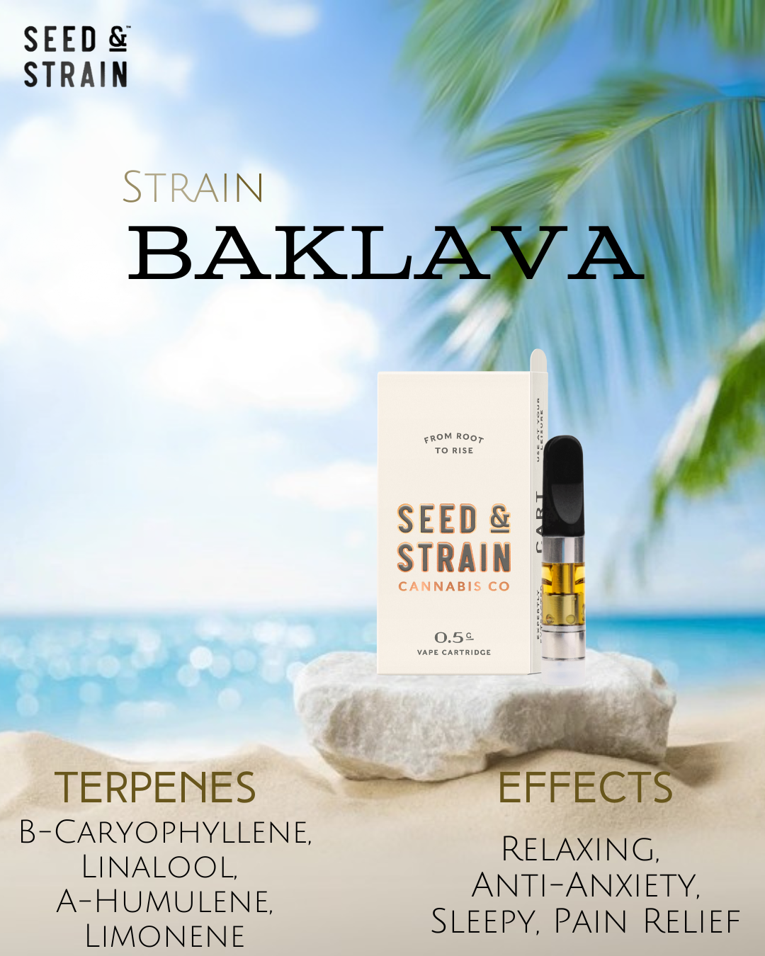 Photograph of product: SS Vaporizer - CO2 BKLVA