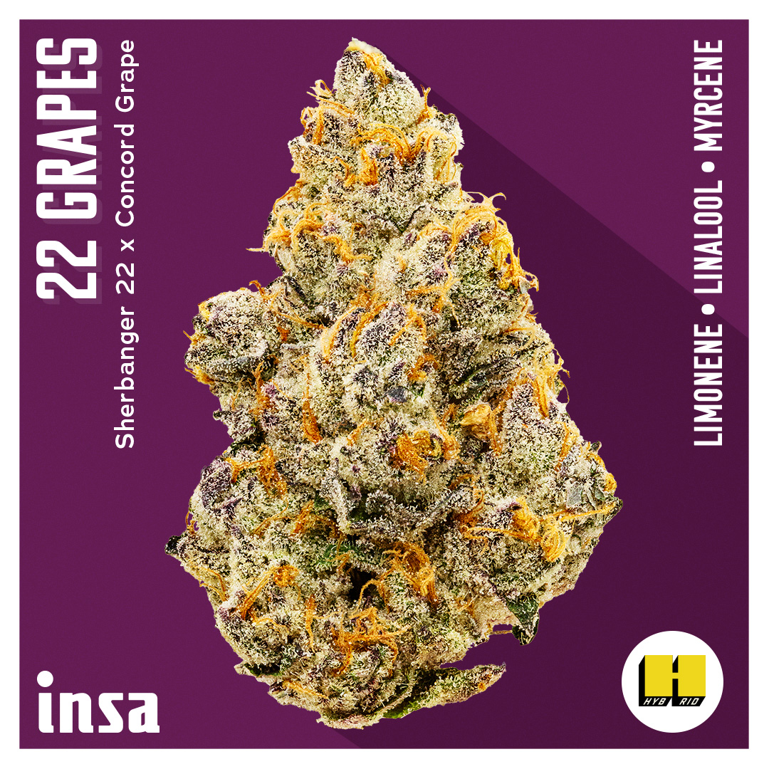 Photograph of product: Flower - 22 Grapes - 3.5g