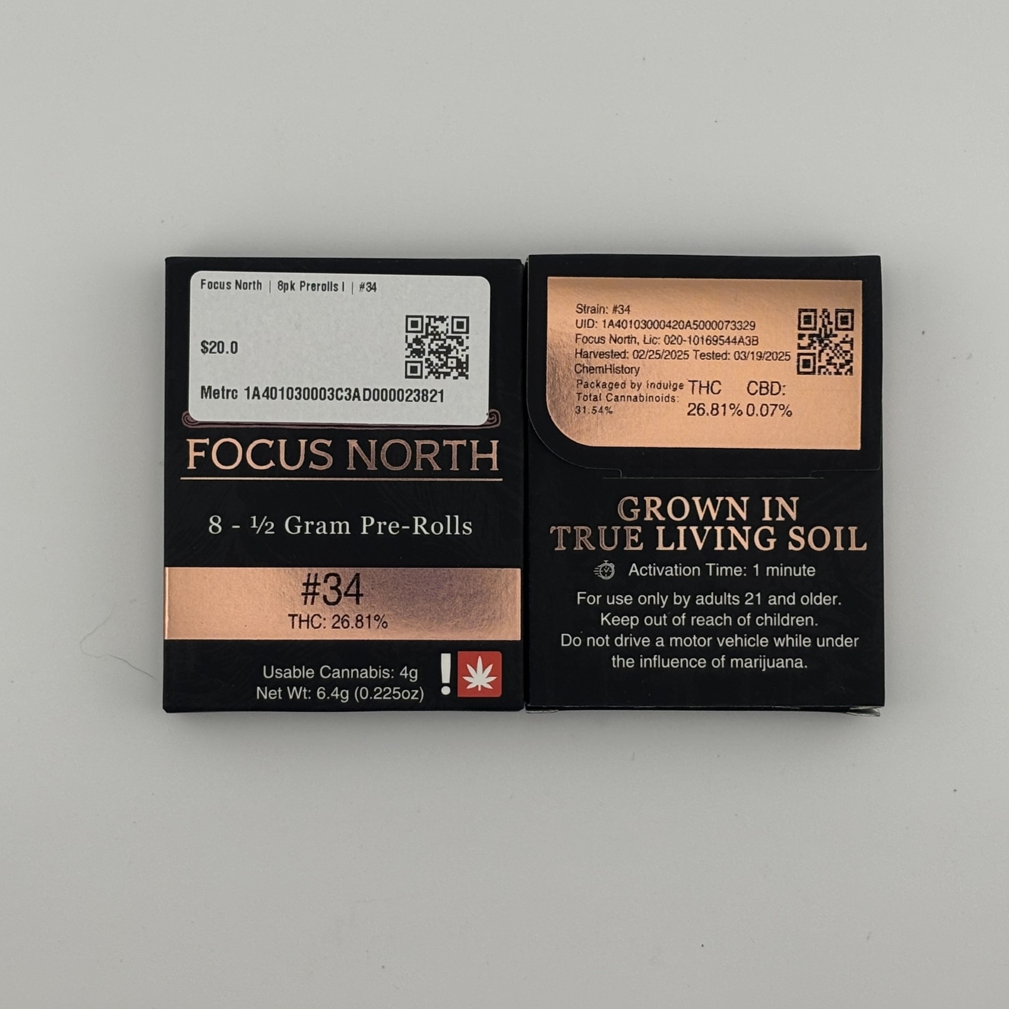 Photograph of product: Focus North | 8pk PR [I] | #34