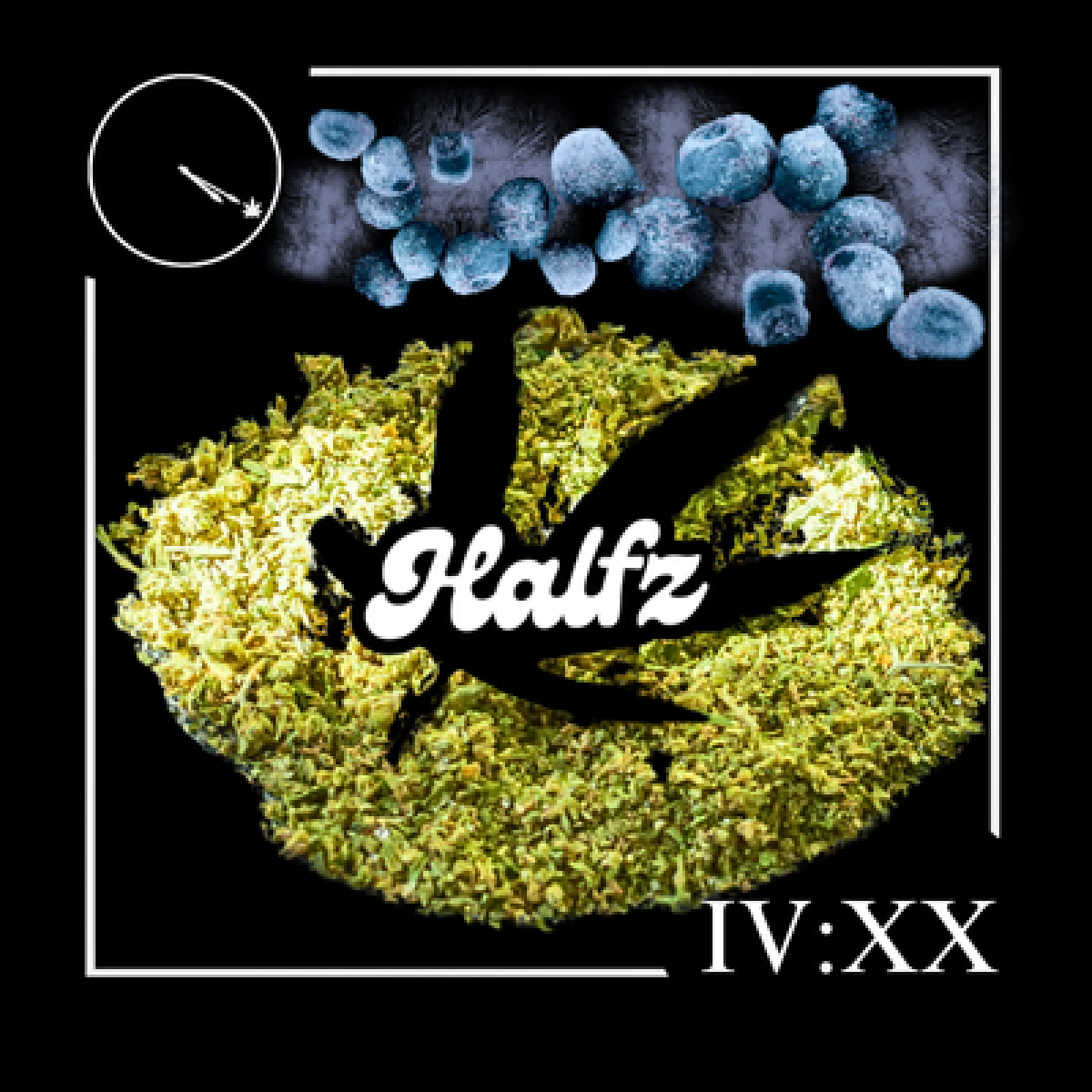 Photograph of Product: Frozen Blueberries Preground 1/2 33.44% TAC - 14g