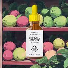 Photograph of product: Friendly | Pink Guava Full Spectrum Tincture | 1000 mg