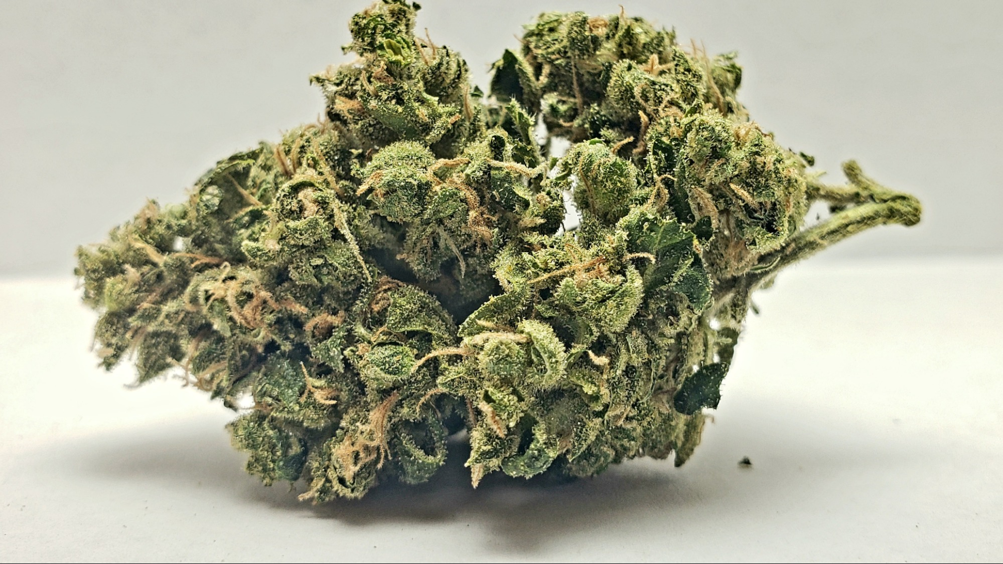 Photograph of product: Acapulco Gold - 28g
