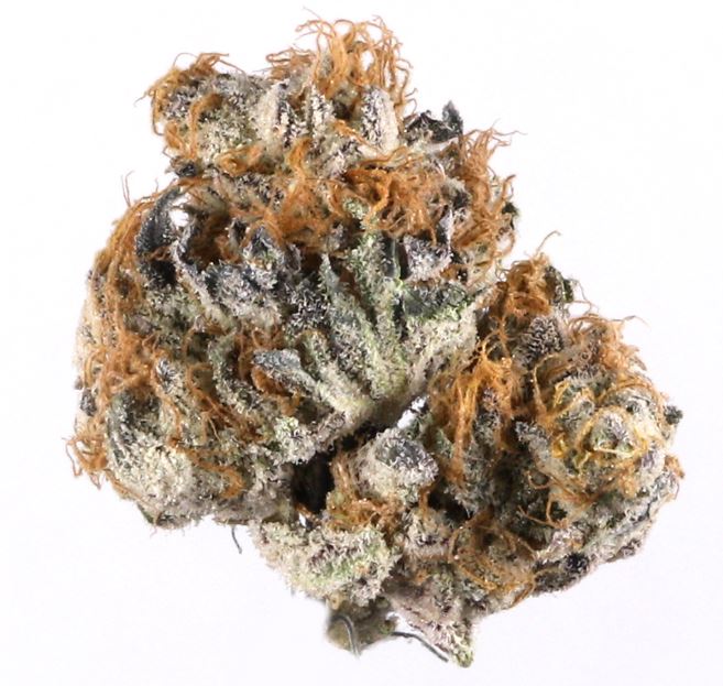 Photograph of product: Punch Breath - Rec - Popcorn / Shake - 28g