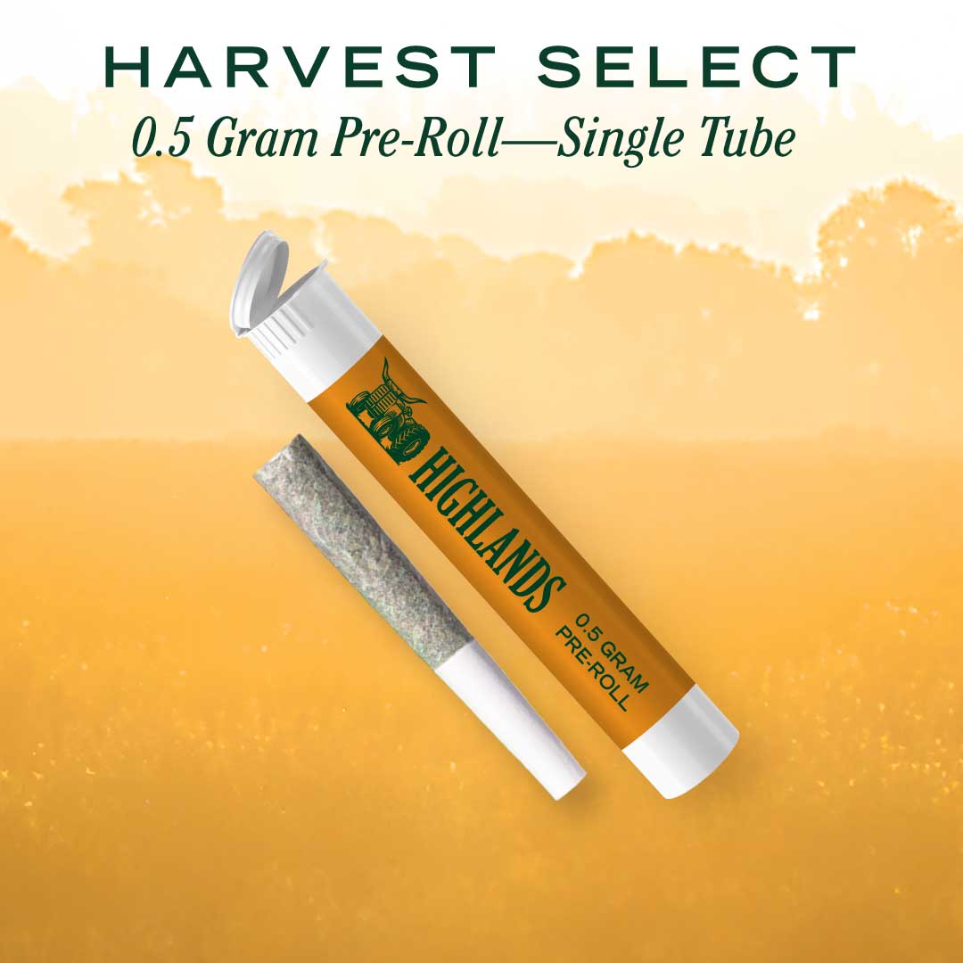 Photograph of product: Cheddar Cheese Pre-Roll | 0.5g