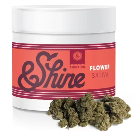 Photograph of product: &Shine Lemon Jack Shake - 7g