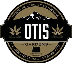 Photograph of product: Sparkling Lime - Otis Gardens - 28g