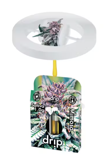 Photograph of product: Drip - 1g Cart - Mimosa Oui'd