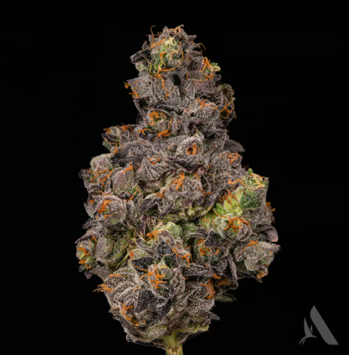 Photograph of product: The Soap | Pre-Pack | 3.5g | 00371