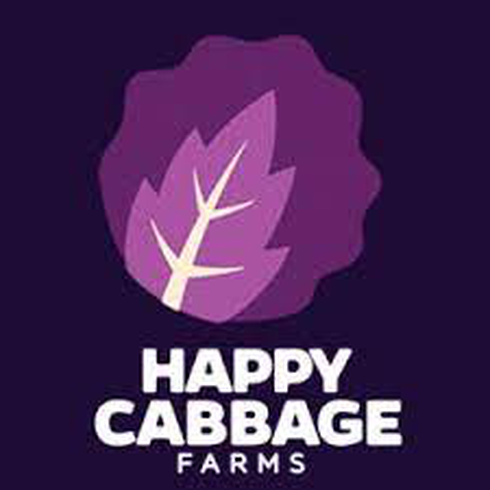 Photograph of product: Happy Cabbage - Ice Cream Cake - 1g Live rosin batter (IH)