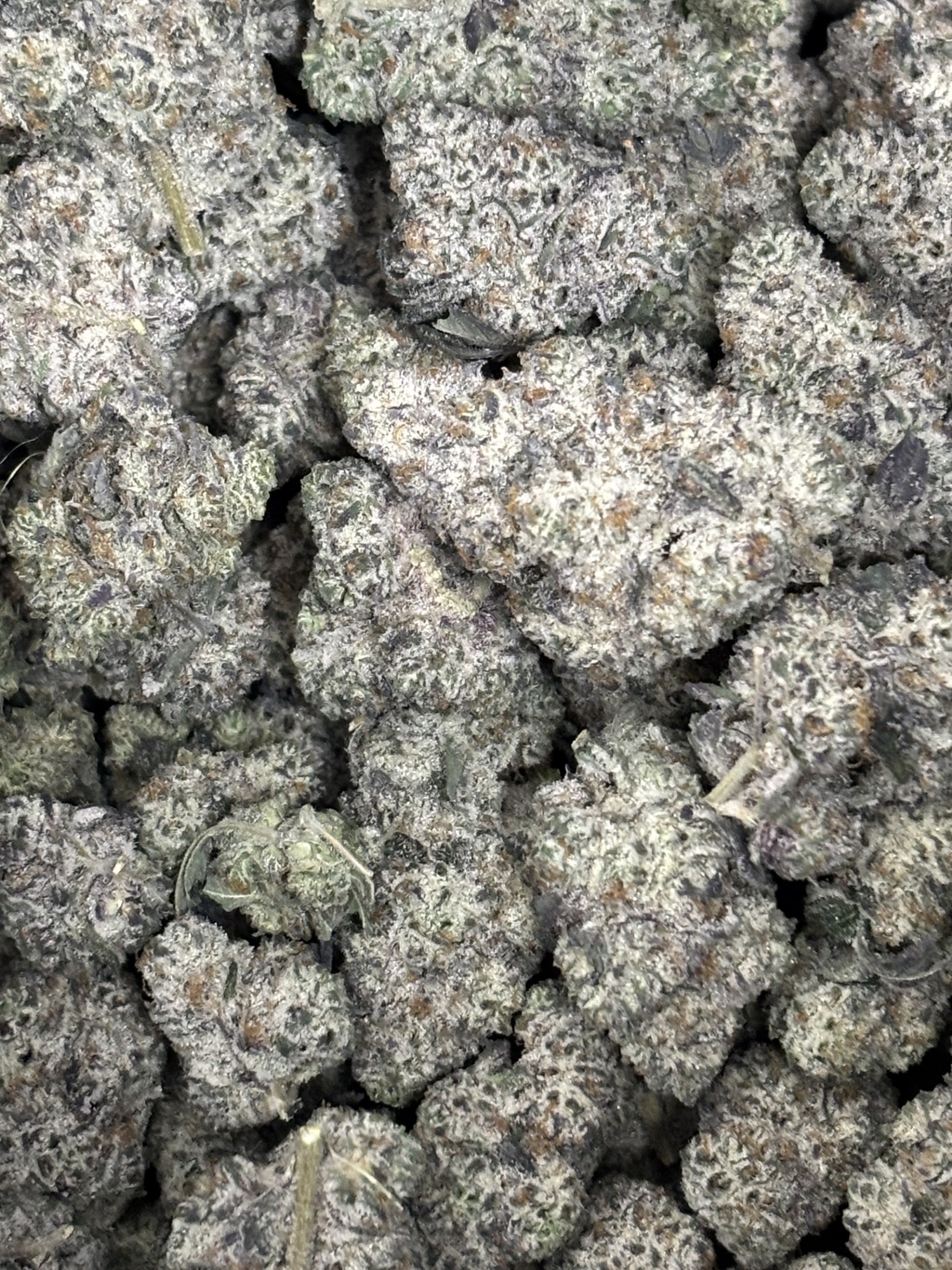 Photograph of product: Black Cherry Punch (H) 31% (DELI) - 1g
