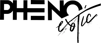 Photograph of product: Pheno Exotic Zelato 3.5g