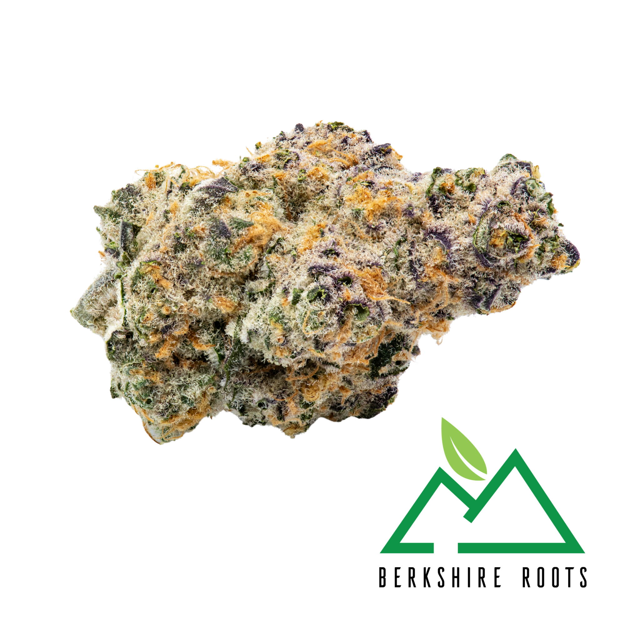 Photograph of product: Sugar Cane Small Buds | 7g