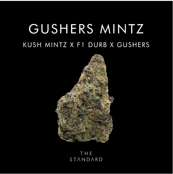 Photograph of product: THE STANDARD 3.5G GUSHERS MINTZ