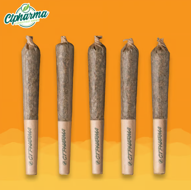 Photograph of product: Yellow Haze OG shorties S  26110 (5pk)