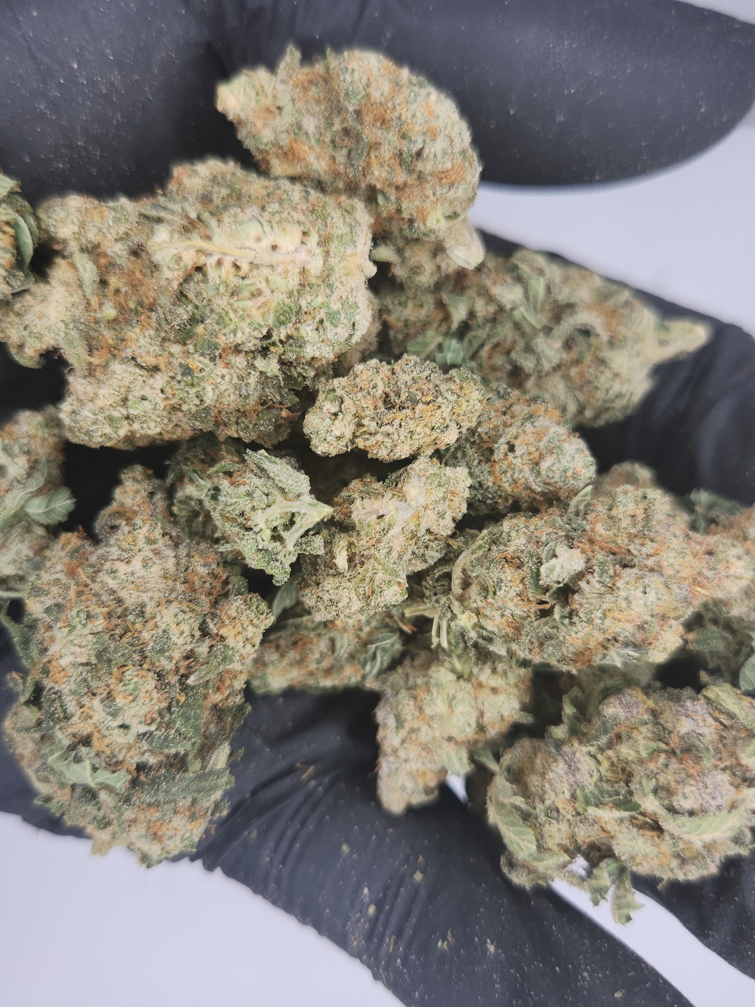 Photograph of product: Fresh Canna | Bulk Bud - Lemon Cherry Gelato - 28g