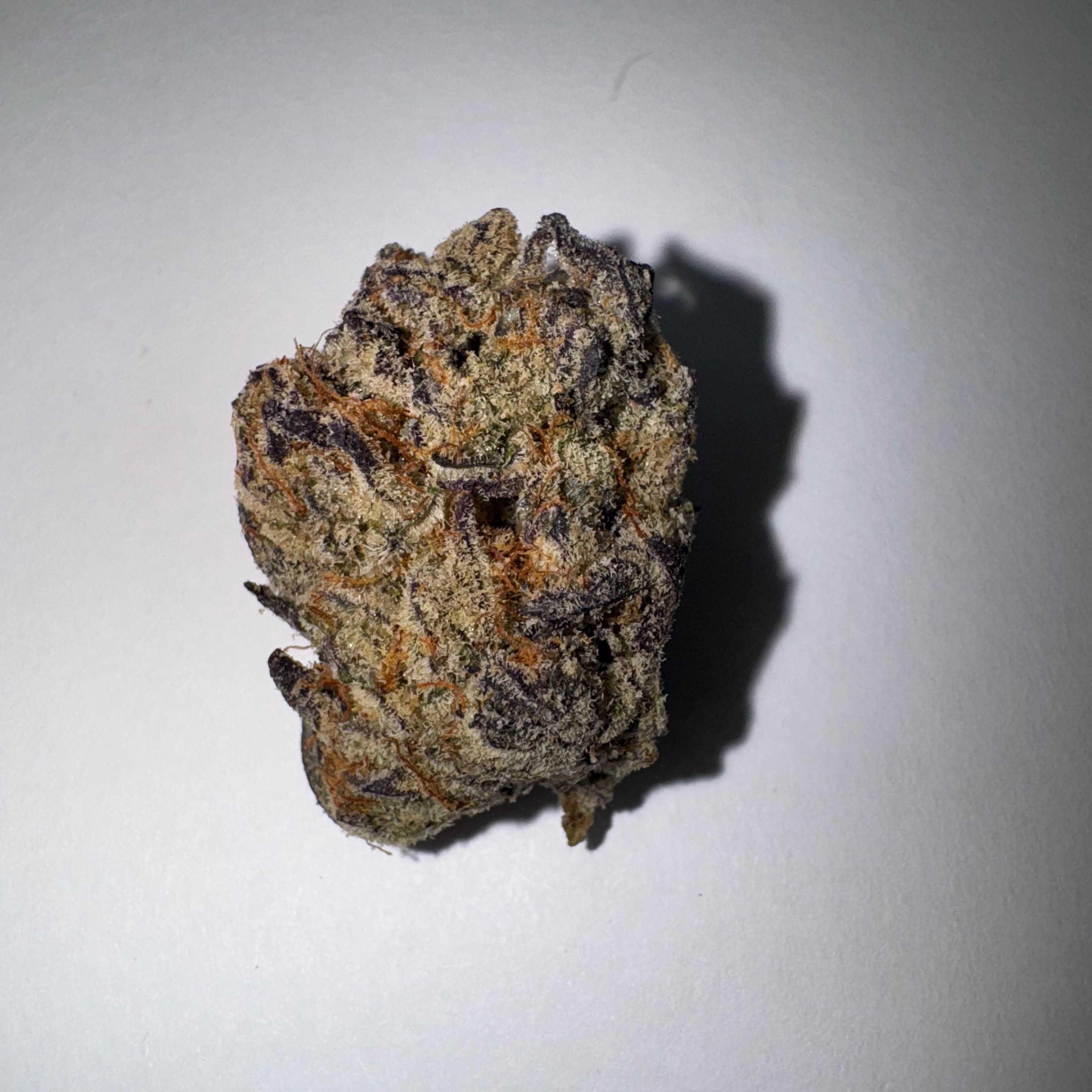 Photograph of product: Muoi Thai OG (DDG)- S- 31.4% 7360