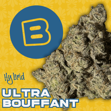 Photograph of product: Ultra Bouffant | 2.83g