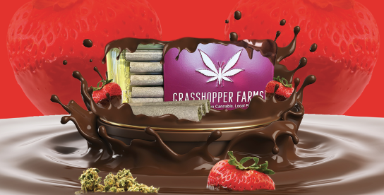 Photograph of product: 1G CHOCOLATE COVERED STRAWBERRY INFUSED PRE-ROLL