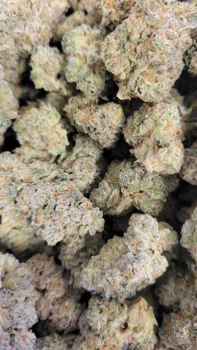 Photograph of product: Lemon Lime Punch (PDX Organix)
