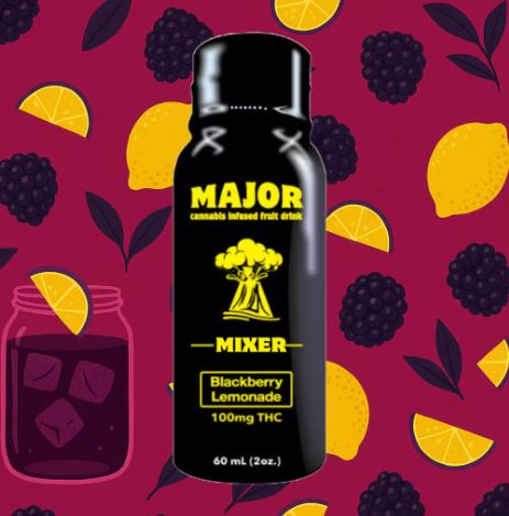 Photograph of product: Blackberry Lemonade Fast Acting TH-oui Shot | 100mg