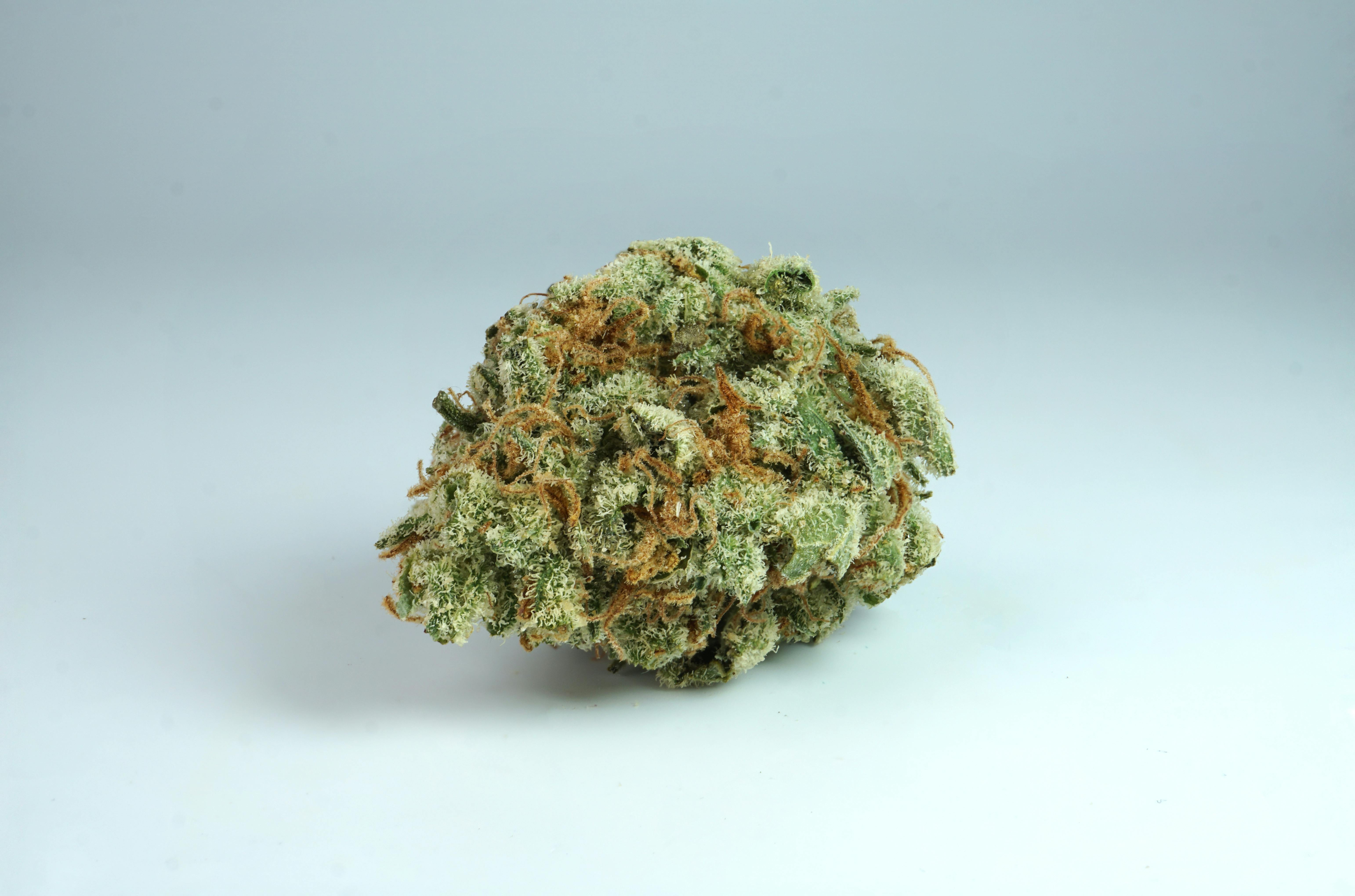 Photograph of product: Area 51 | 28g