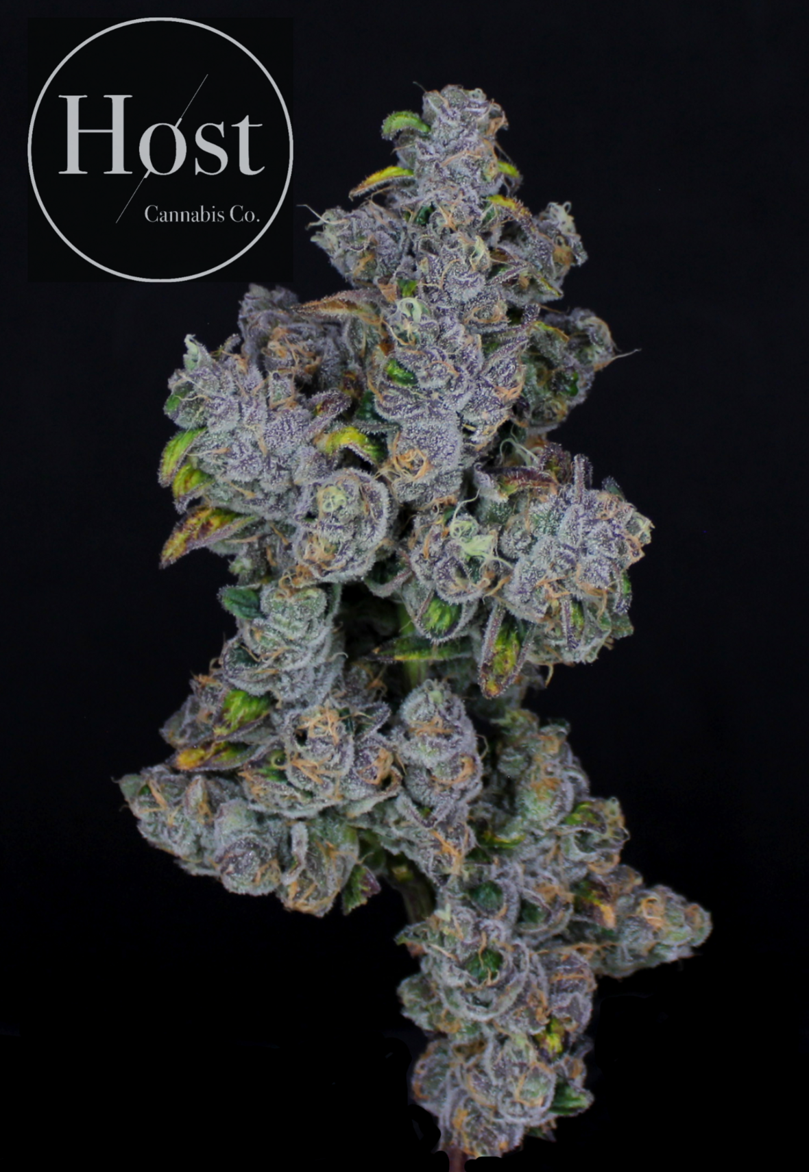 Photograph of product: BrrBerry - 043 - 28g