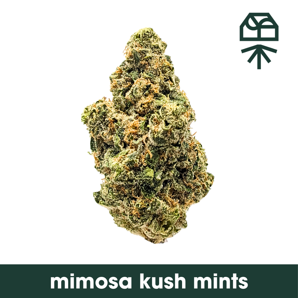 Photograph of product: Grassroots Flower 7g- Mimosa Kush Mintz