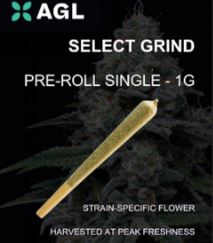 Photograph of product: AGL 1g Select Grind Pre Roll Permanent Marker (I) 00421 (1pk)