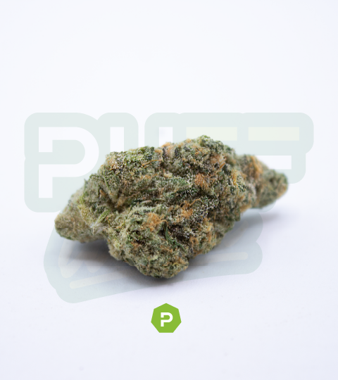 Photograph of product: Big League Brands | Bubble Yum - 28g