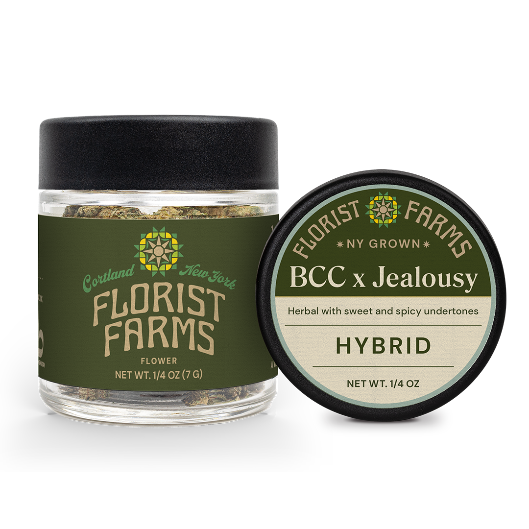 Photograph of product: Florist Farms | Banana Cream Cake x Jealousy | Flower | 7g