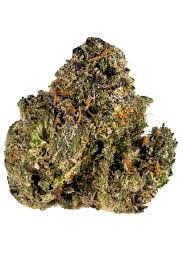 Photograph of Product: Gelato 45 x Purple Punch - 2g