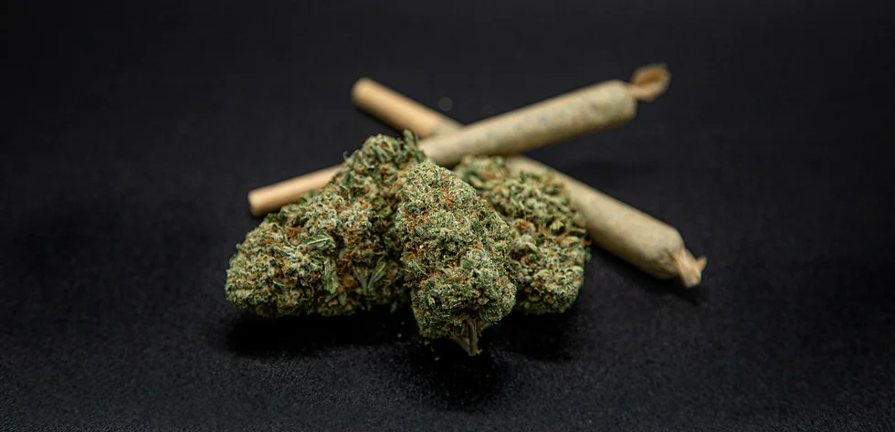 Photograph of product: Elysium Fields | SILVER PINE Preroll 2pk | 1g