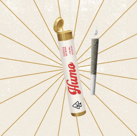 Photograph of product: Churritos Adios GMO Infused Preroll 1g - Sales Floor