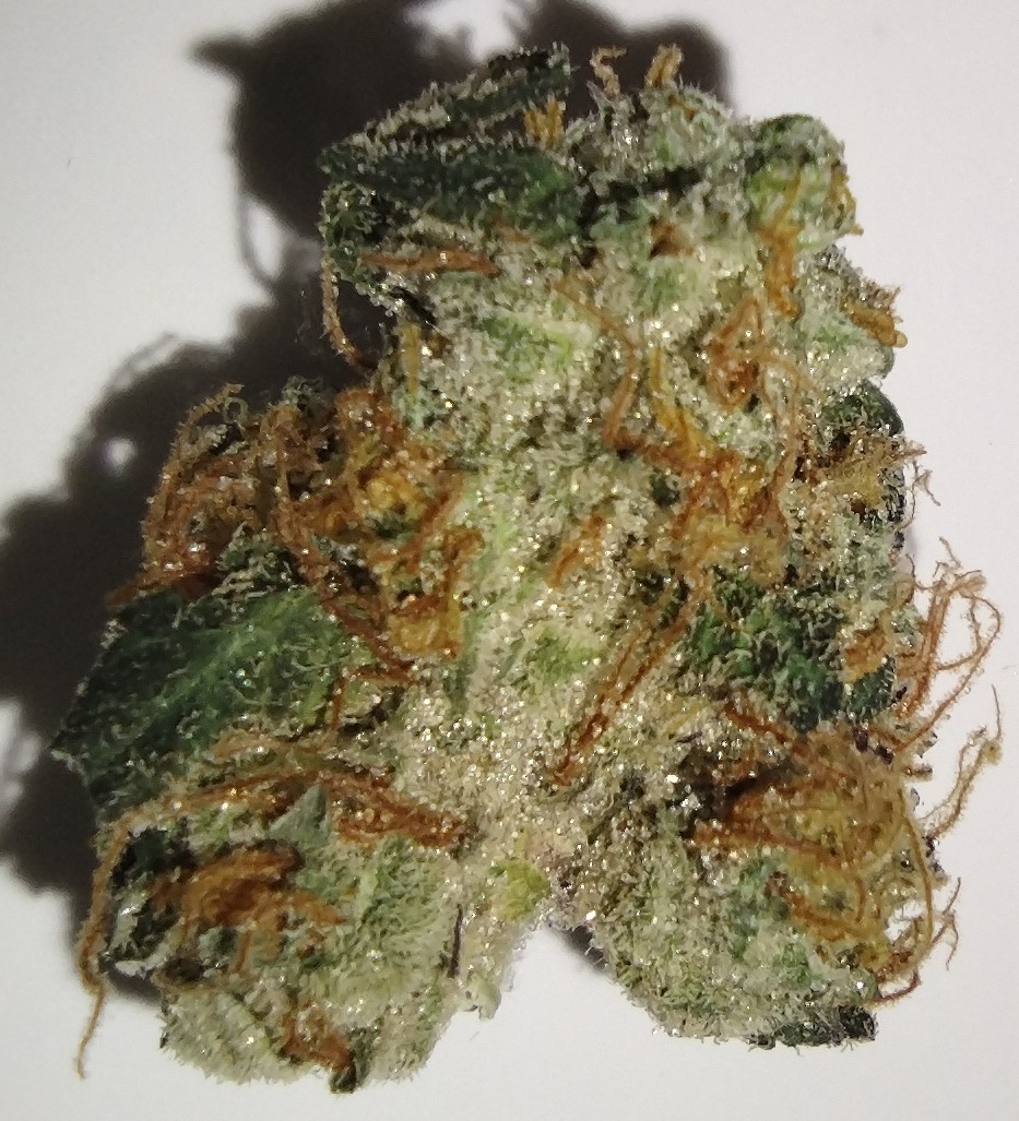 Photograph of product: Pure Bliss Farms - Dirty 30 - 7g - Flower