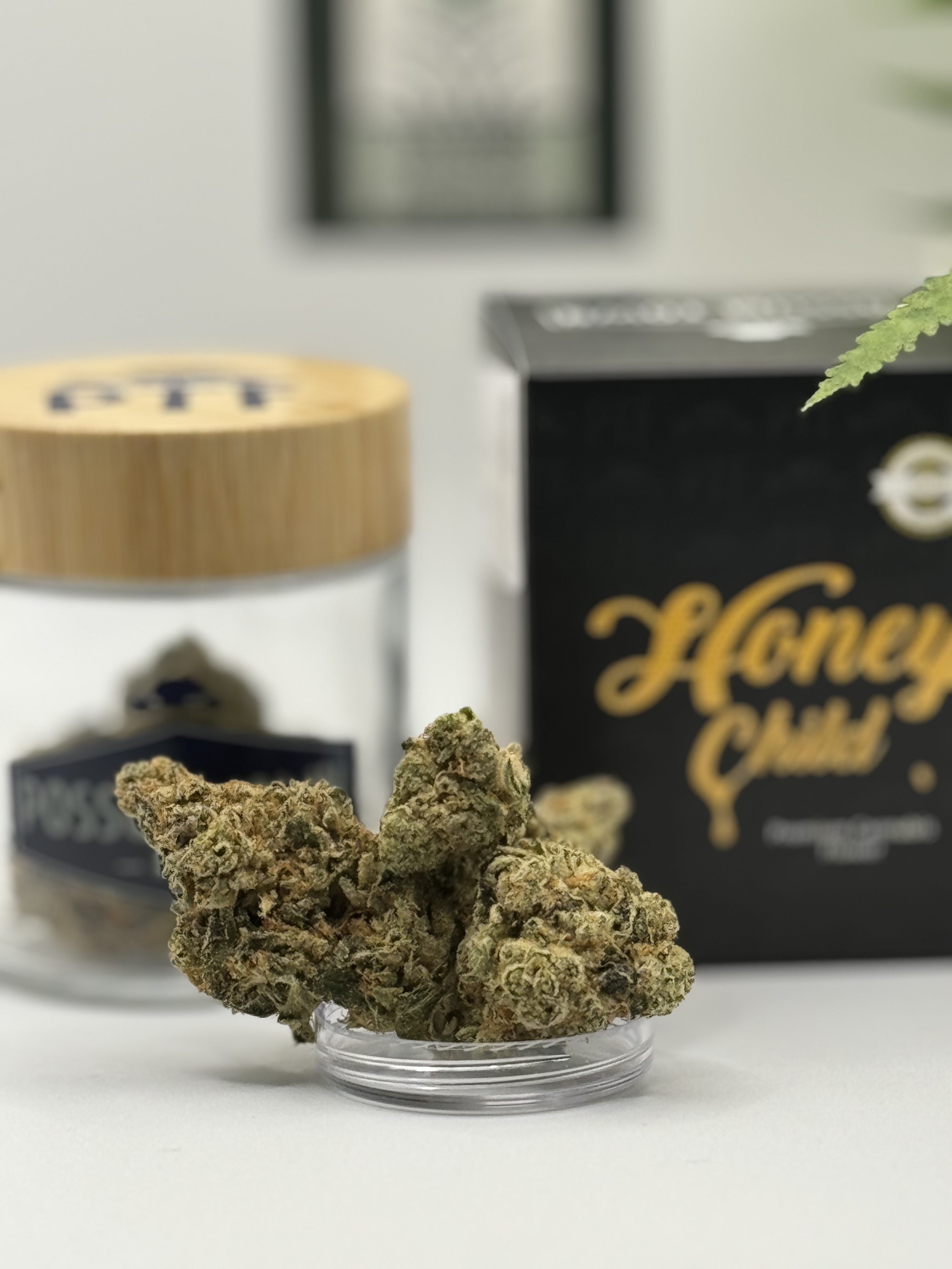 Photograph of product: Possum Town Farms | 3.5g | Honey Child