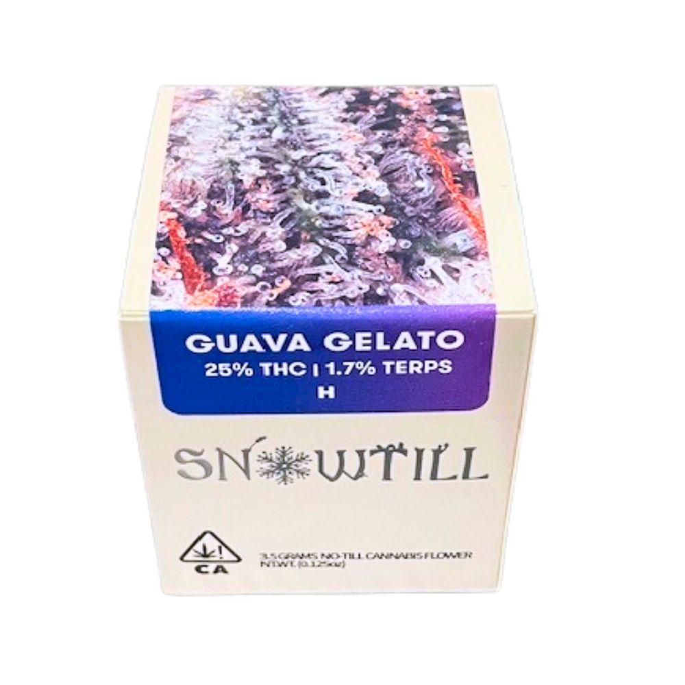 Photograph of product: GUAVA GELATO 3.5 - SNOW TILL