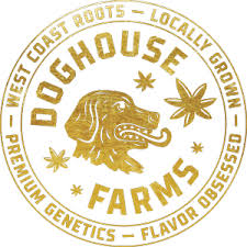 Photograph of product: Noxious Infused PR