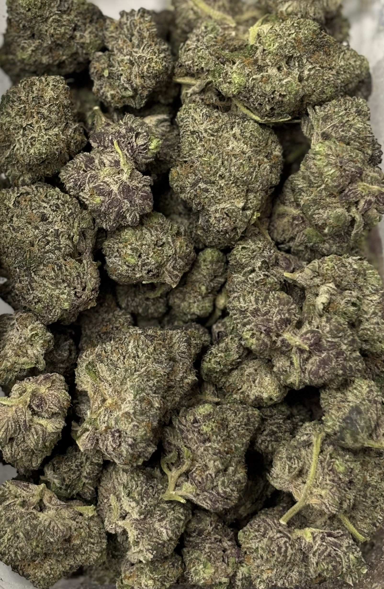 Photograph of product: Gas Tier - NKT Investments - Gelato Cake Bulk Buds - 28g