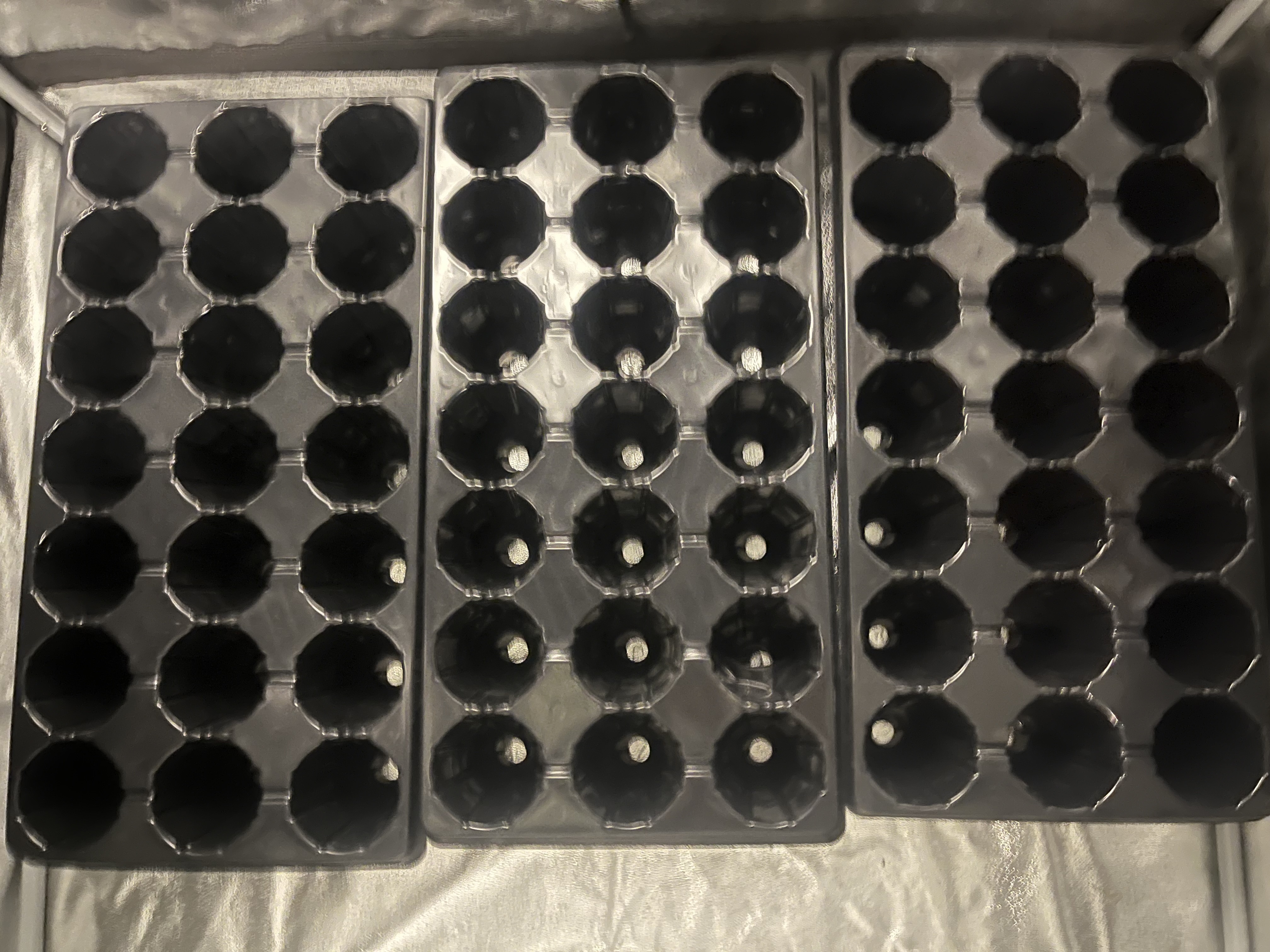 Photograph of product: LND | L21 Seedling Tray 65/CS 20CS/pl X-21STPP