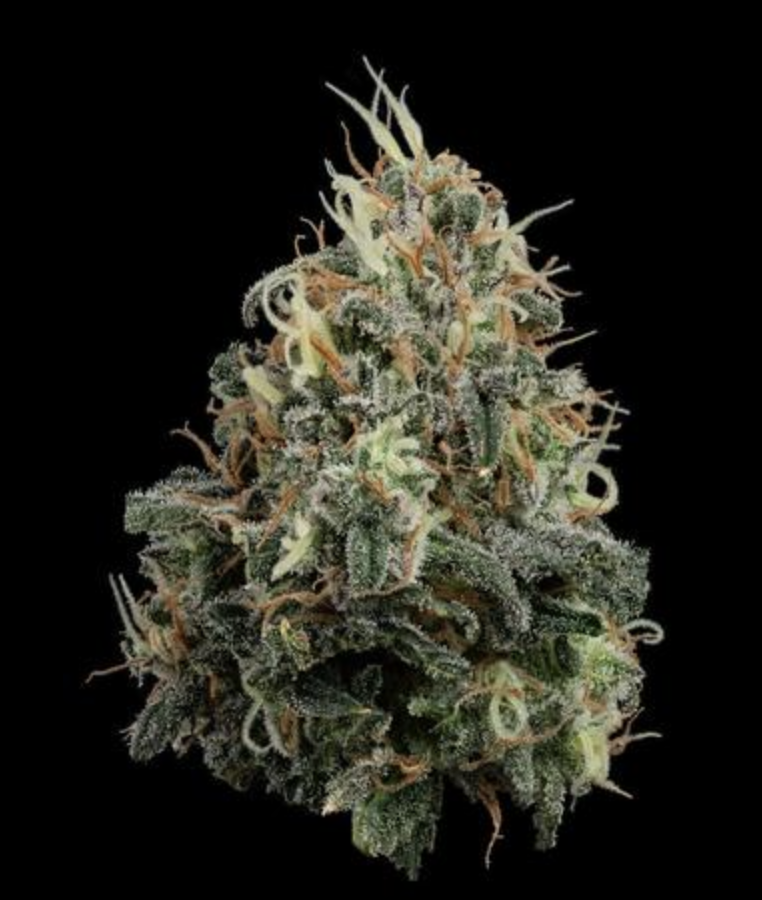 Photograph of product: Brown Bag Papaya Splash Flower | 3.5G | U4EA Farms
