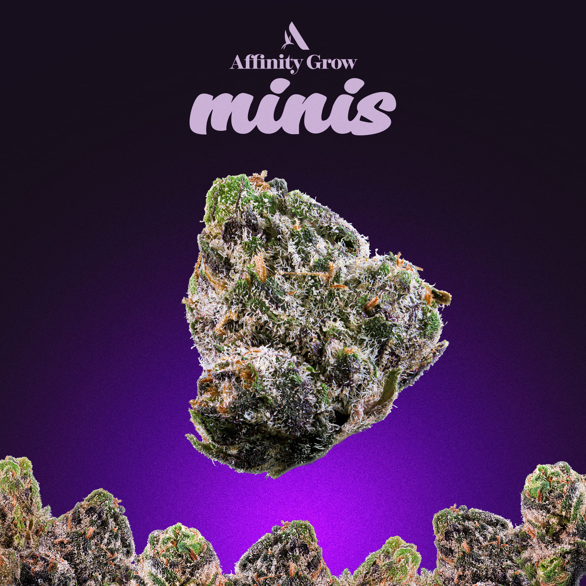 Photograph of product: Affinity Permanent Urkle Small Flower 18.50% (I) 3.5g - 00593