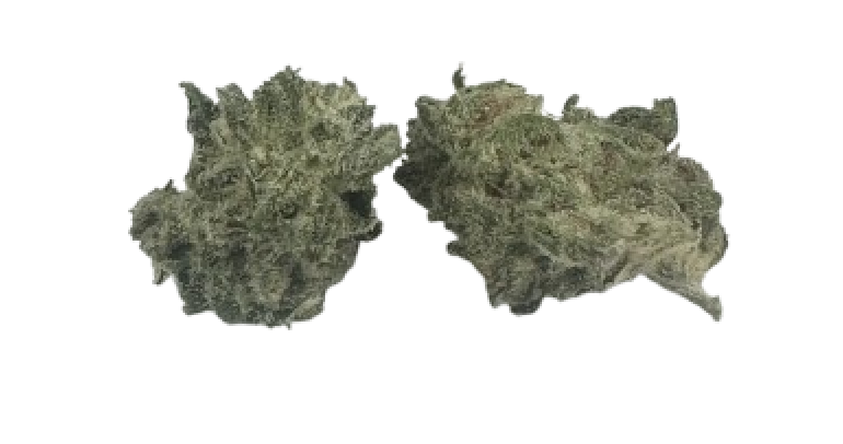 Photograph of product: Mochalope (Smalls) | $39 OZ Special - 3.5g