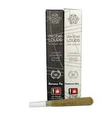 Photograph of product: DECIBEL | Durban Rntz Bubble au chocolat Preroll 4-18-24