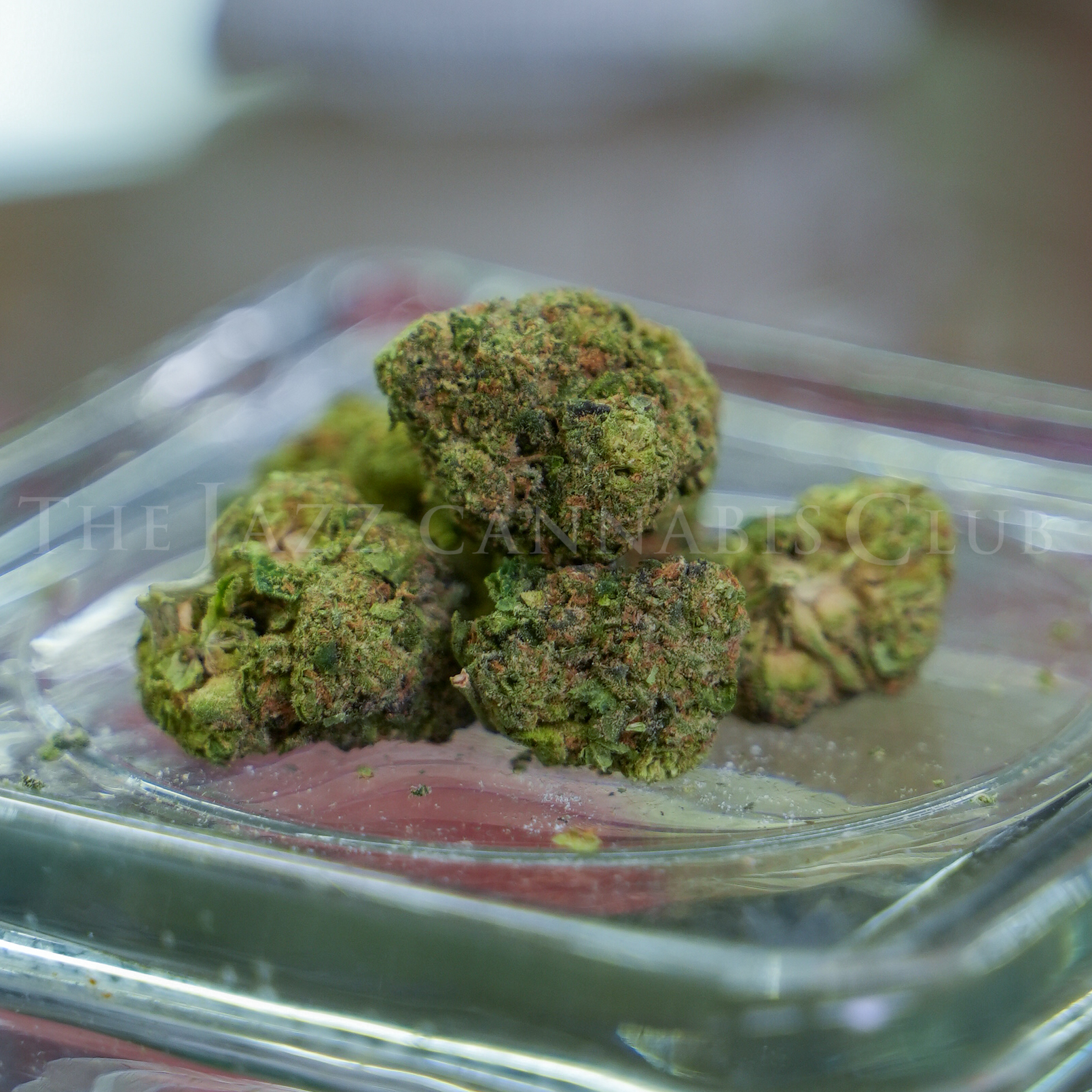 Photograph of product: The 8th White Boy Rick - Sugar Candy Pre Pack Flower - 3.5g