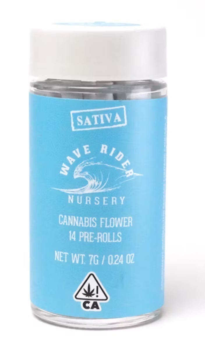 Photograph of product: Wave Rider Nursery - Purple Haze - Wave Rider - 14 js