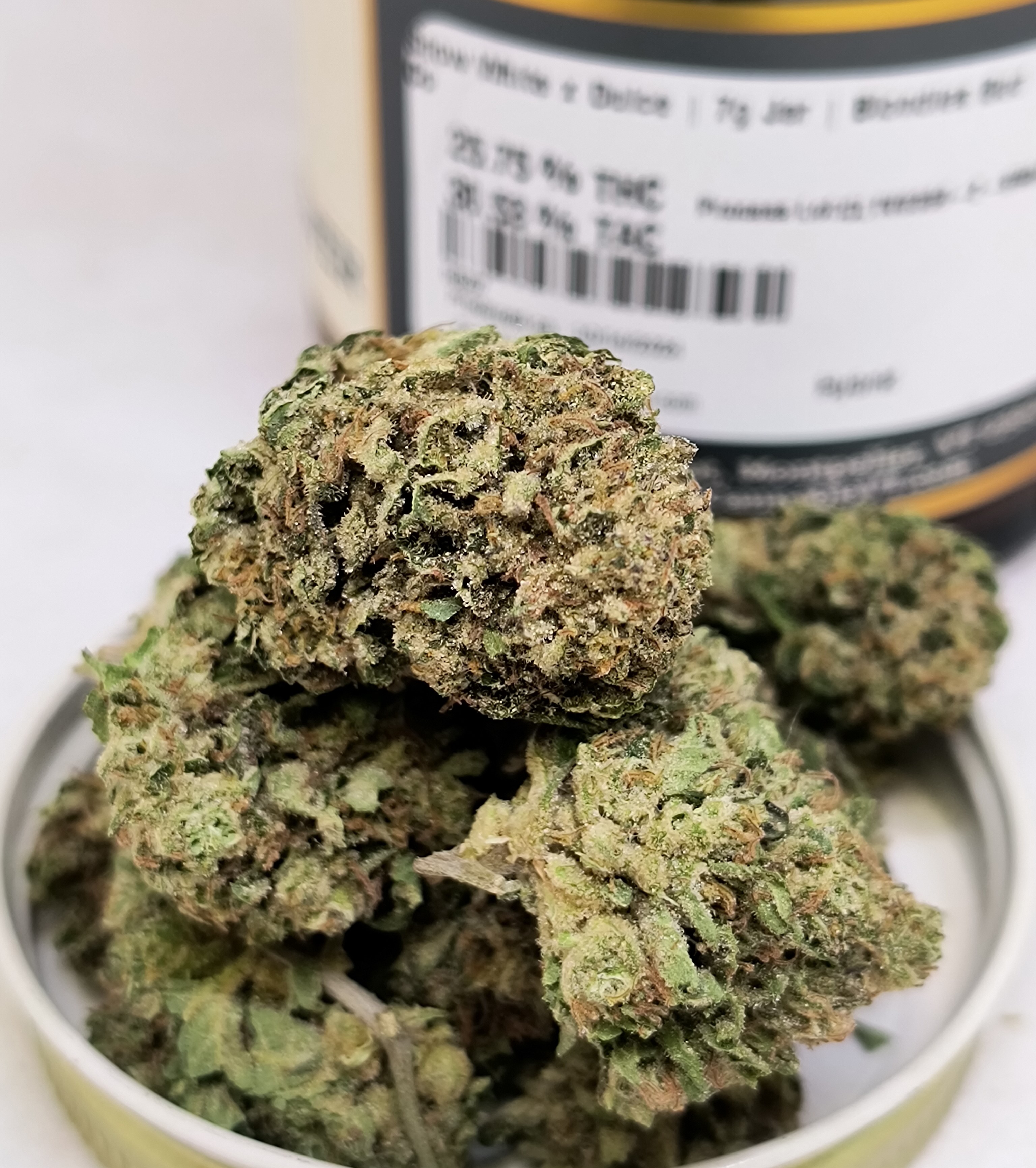 Photograph of product: Snow White x Dulce Jar | Blondies Bud Co - 14g