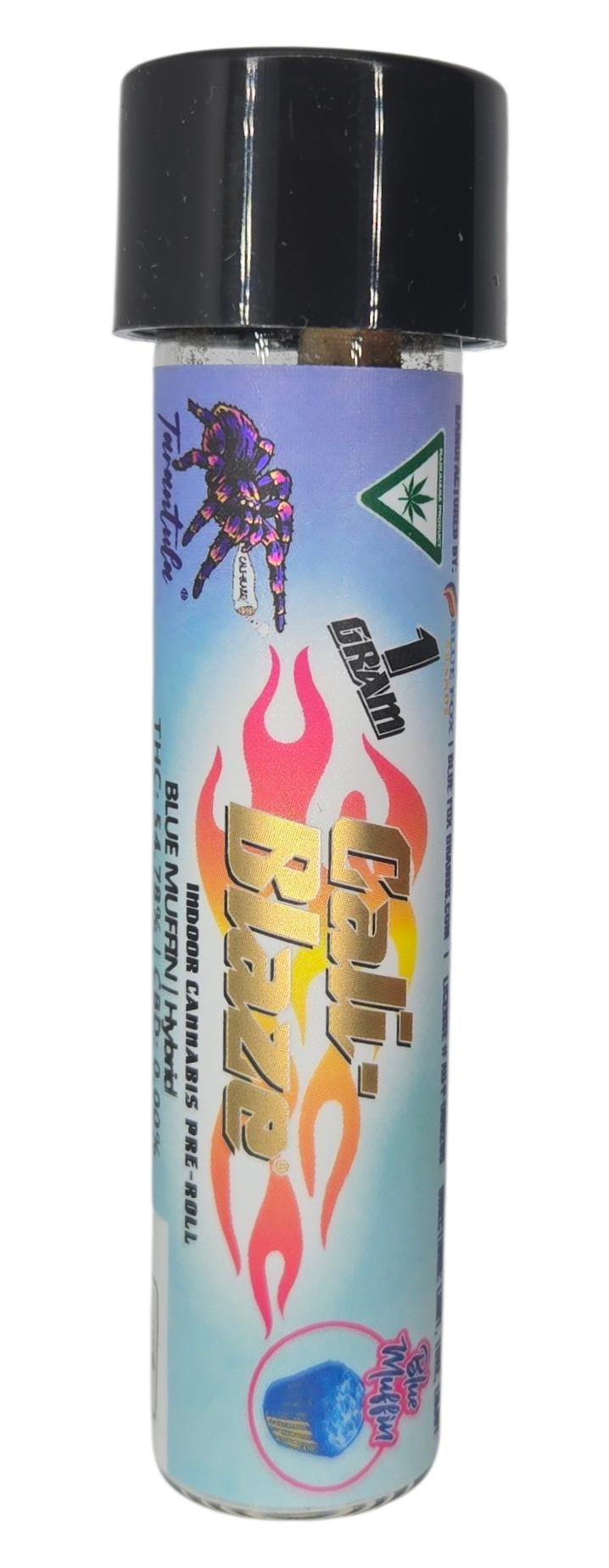 Photograph of product: Blue Muffin | 1g Tarantula