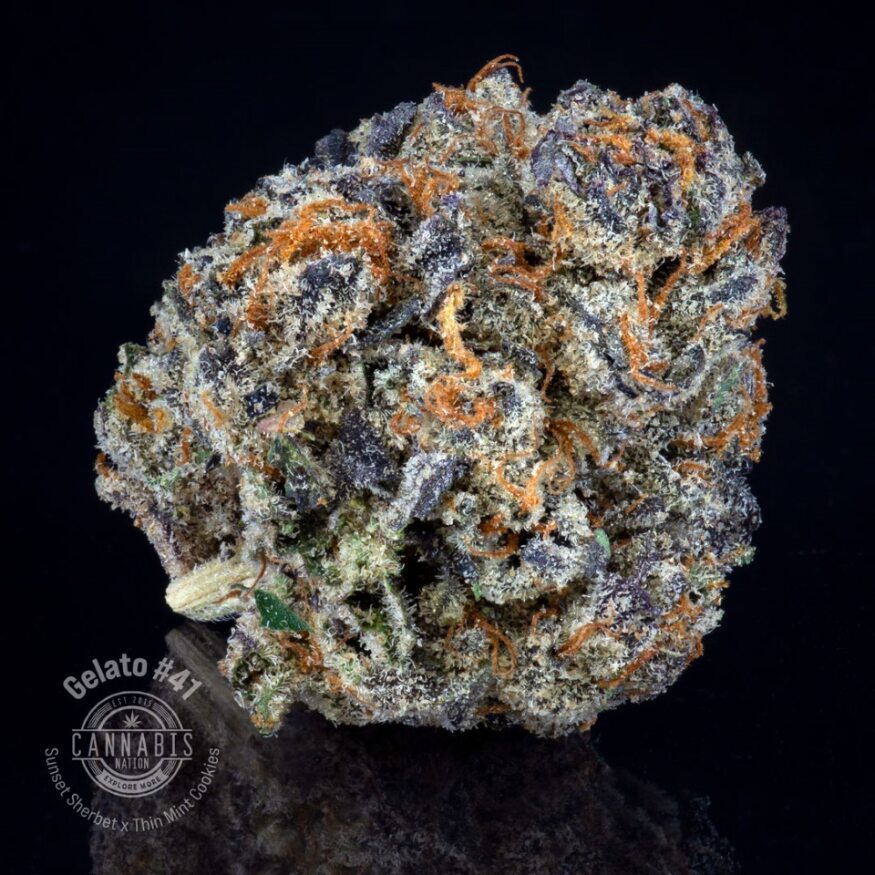Photograph of product: Flower | Gelato #41 - 28g
